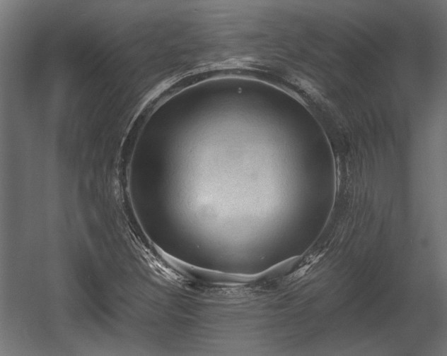 X0000058761308200510031008