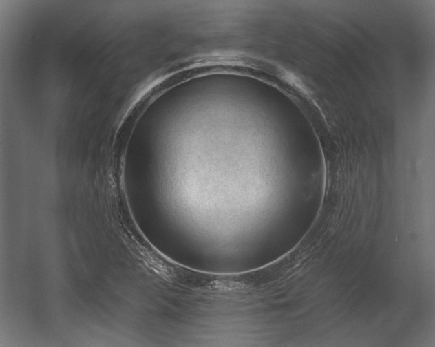 X0000058761312200510031008