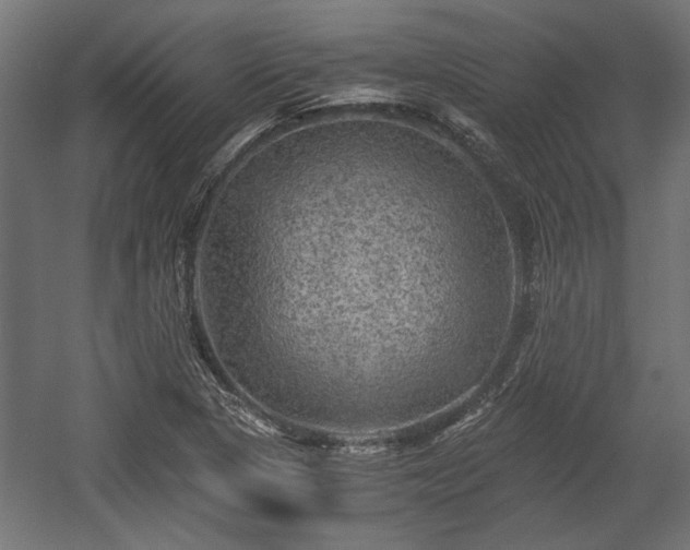 X0000058761313200510031008