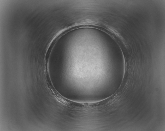 X0000058761316200510031008