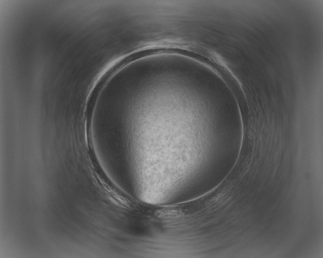 X0000058761320200510031008