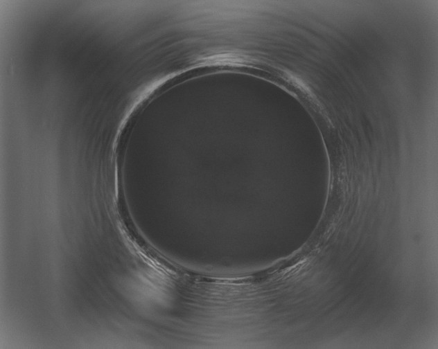 X0000058761323200510031008