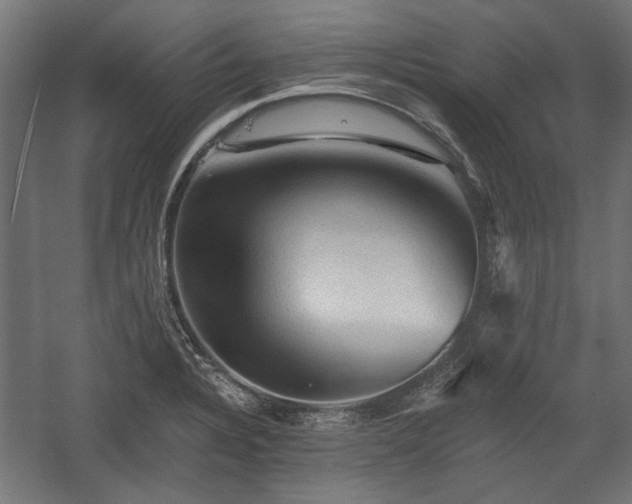 X0000058761328200510031008