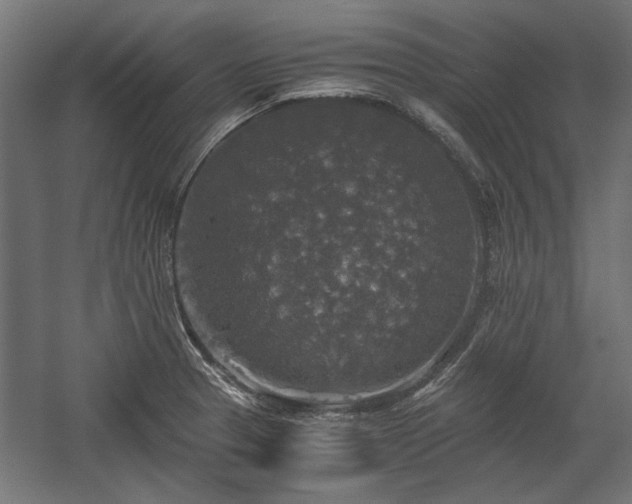 X0000058761329200510031008