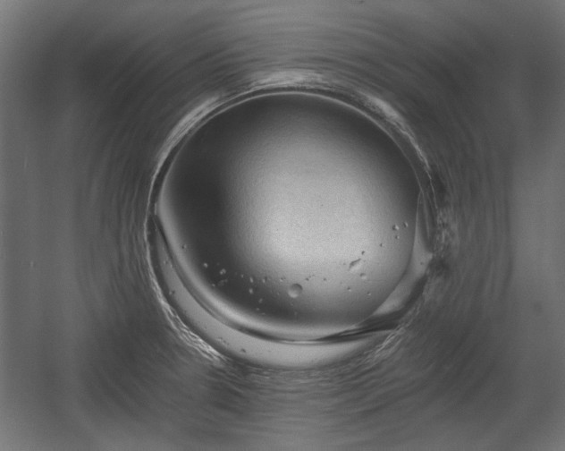 X0000058761330200510031008