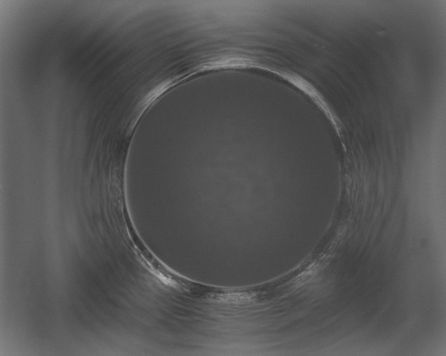 X0000058761337200510031008