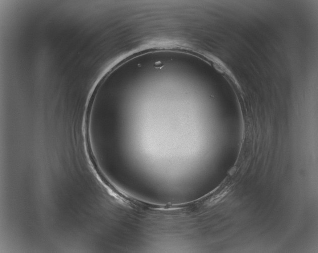 X0000058761343200510031009