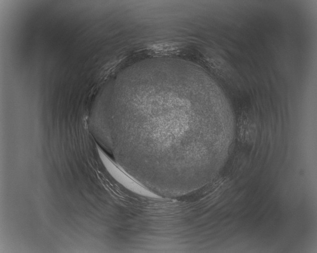 X0000058761346200510031008