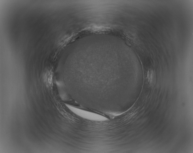 X0000058761348200510031008