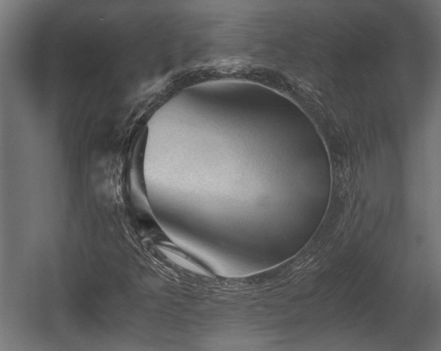 X0000058761349200510031008