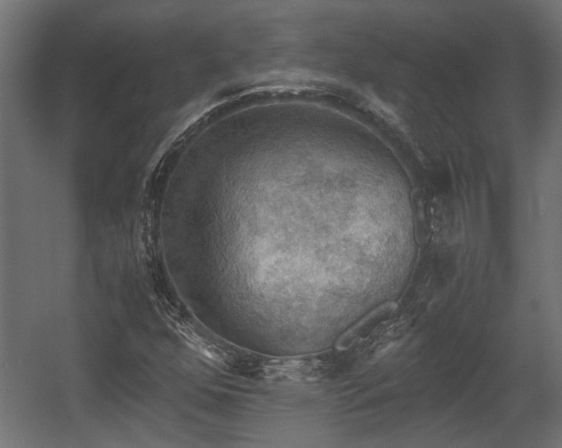 X0000058761352200510031008