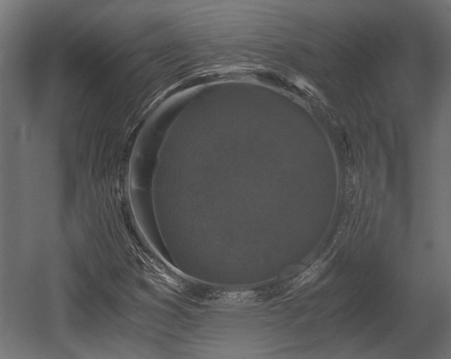 X0000058761353200510031008