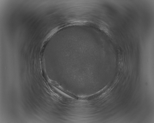 X0000058761354200510031008