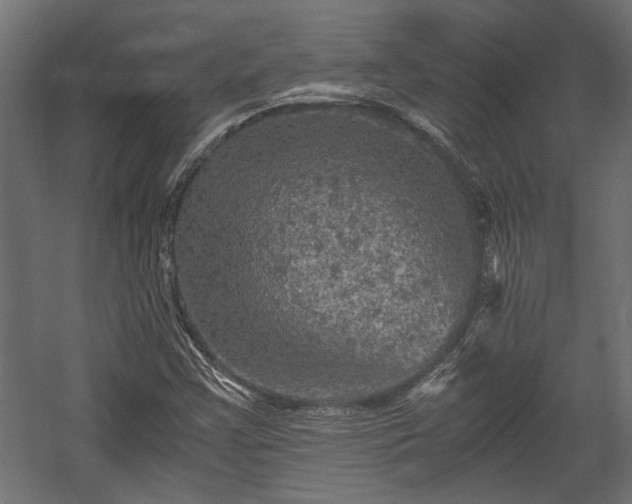 X0000058761355200510031008