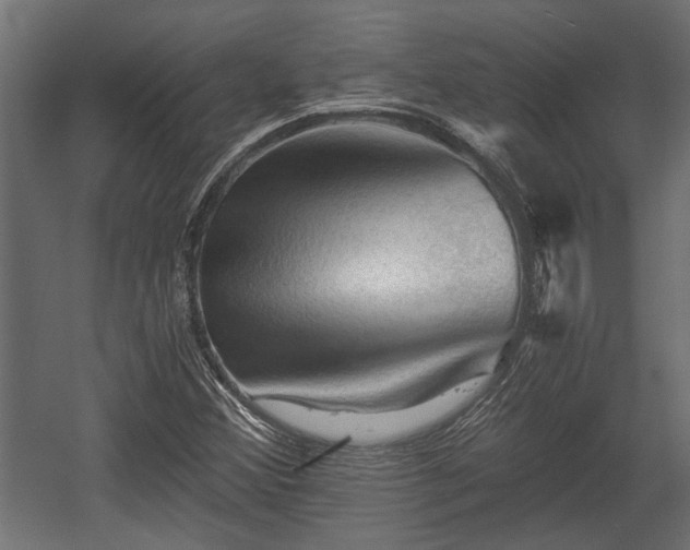 X0000058761356200510031008