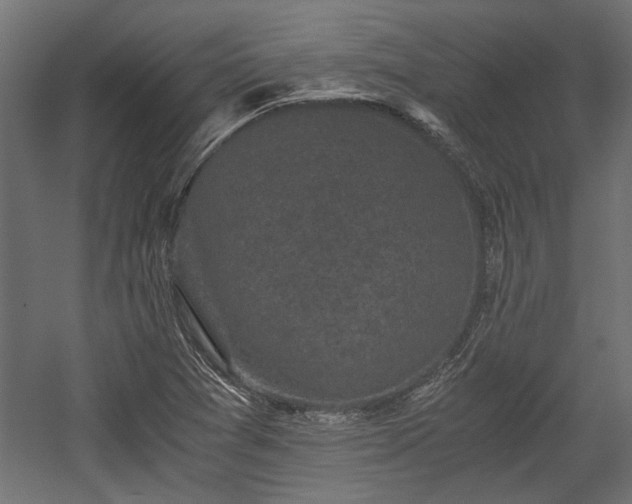 X0000058761361200510031007