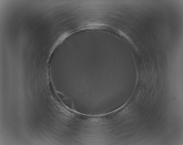 X0000058761362200510031007