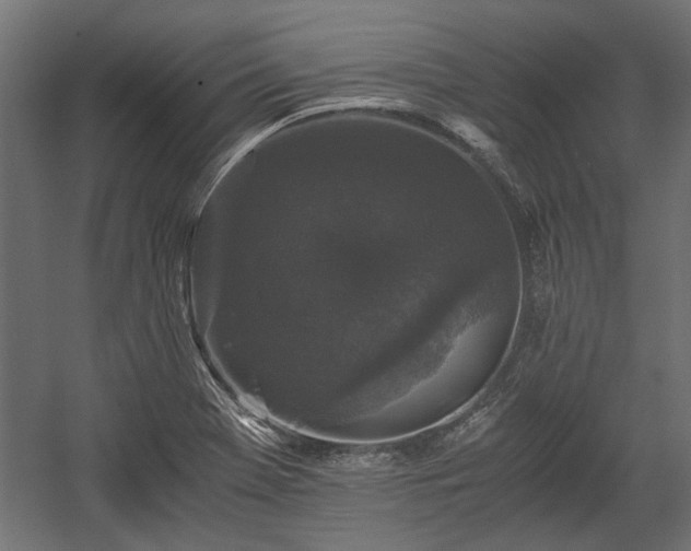 X0000058761369200510031007