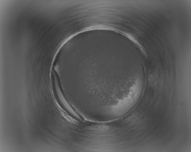X0000058761372200510031007