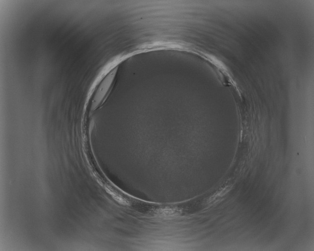 X0000058761373200510031007