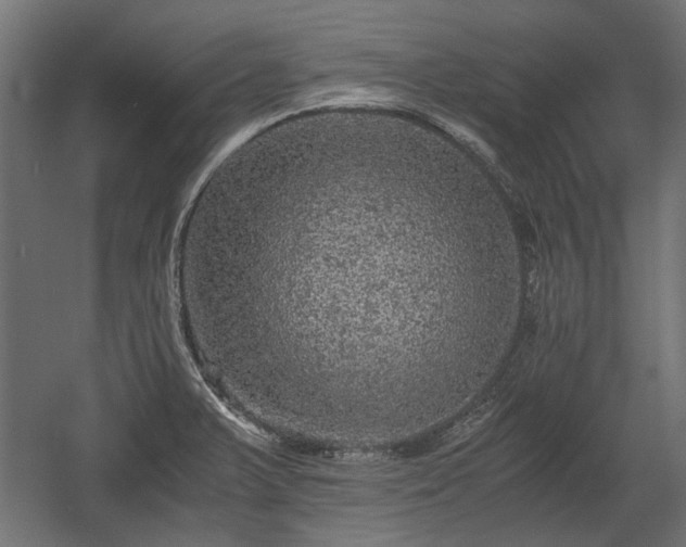 X0000058761375200510031007