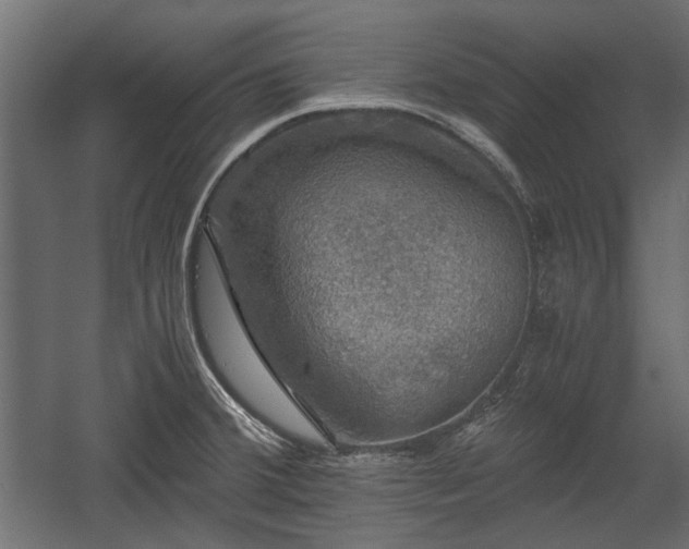 X0000058761380200510031007