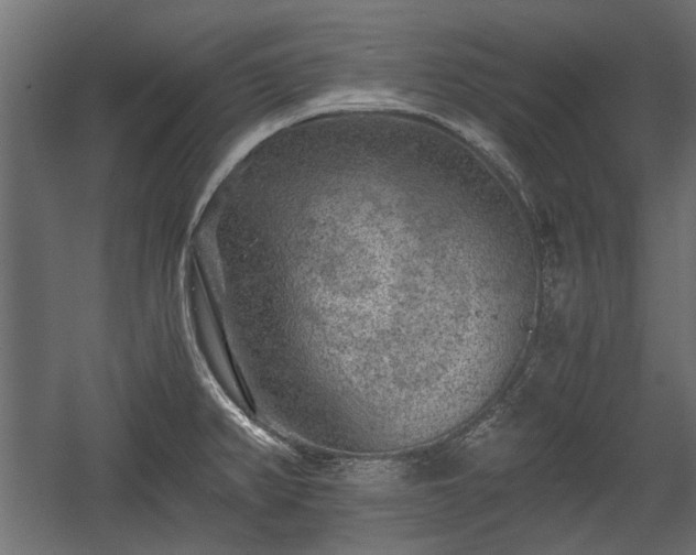 X0000058761382200510031007