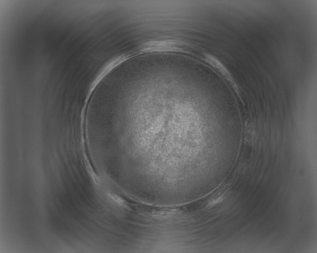 X0000058761386200510031007