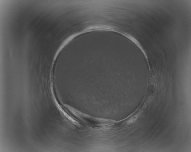 X0000058761389200510031007