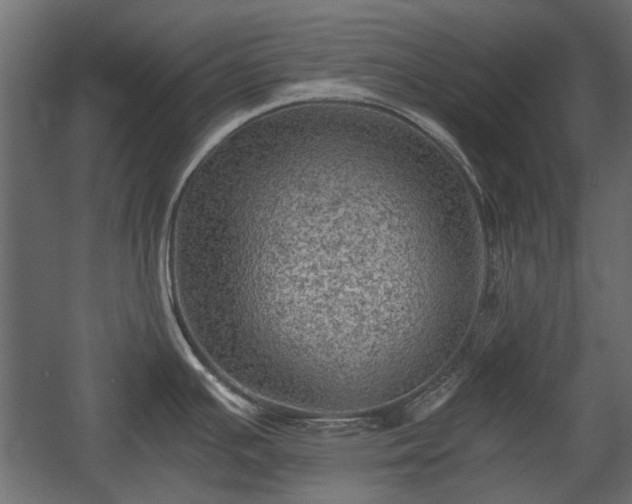 X0000058761391200510031007