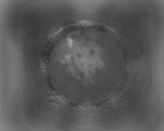 X0000058761397200510031006