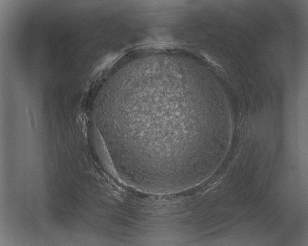 X0000058761398200510031006