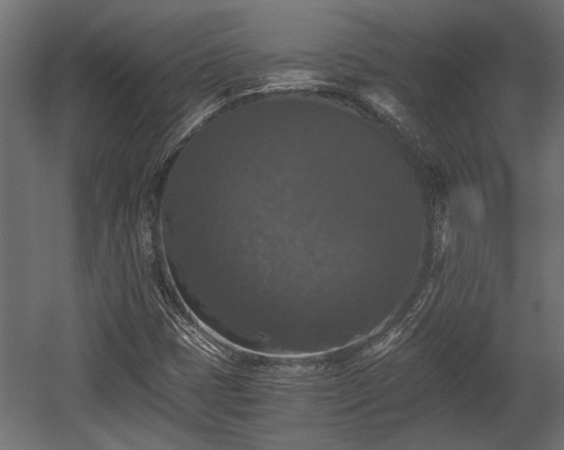 X0000058761401200510031006