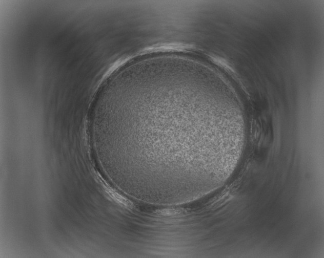 X0000058761404200510031006