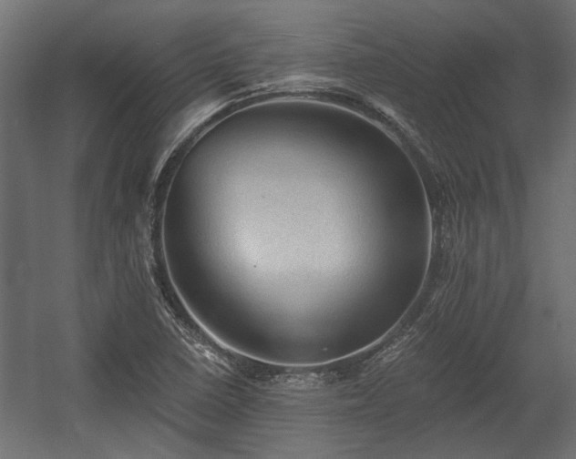 X0000058761410200510031006