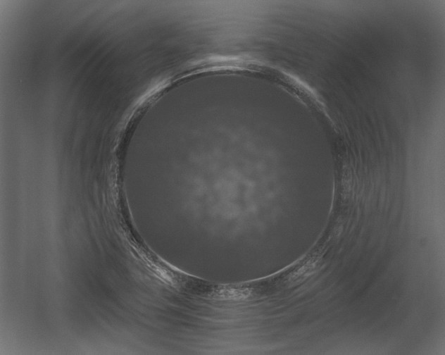 X0000058761411200510031006