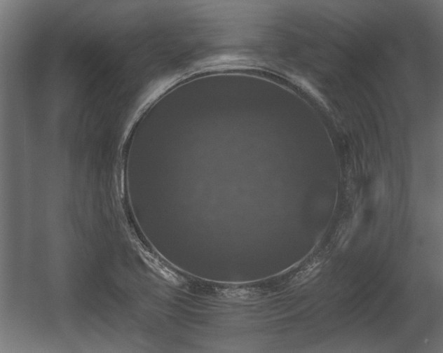 X0000058761413200510031006