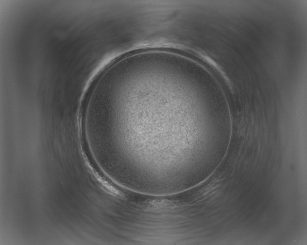 X0000058761416200510031006