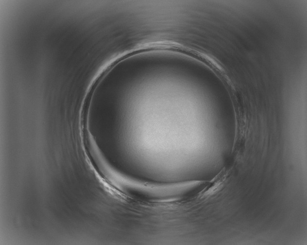 X0000058761430200510031007