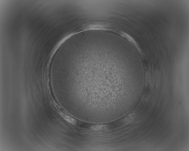 X0000058761435200510031007