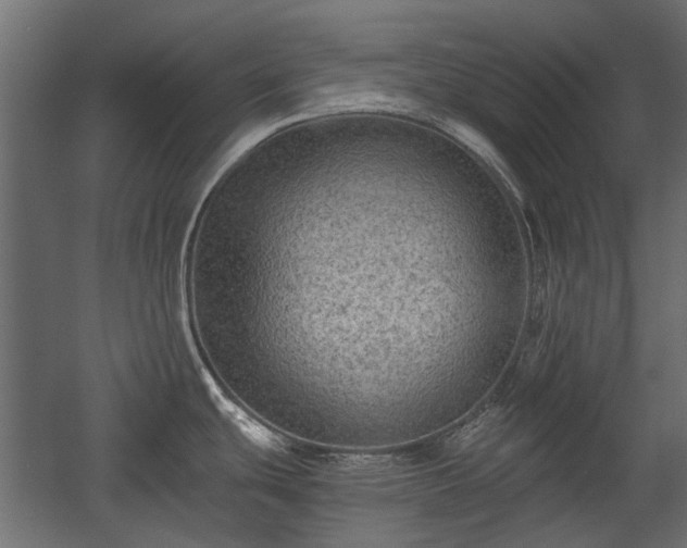 X0000058761439200510031007