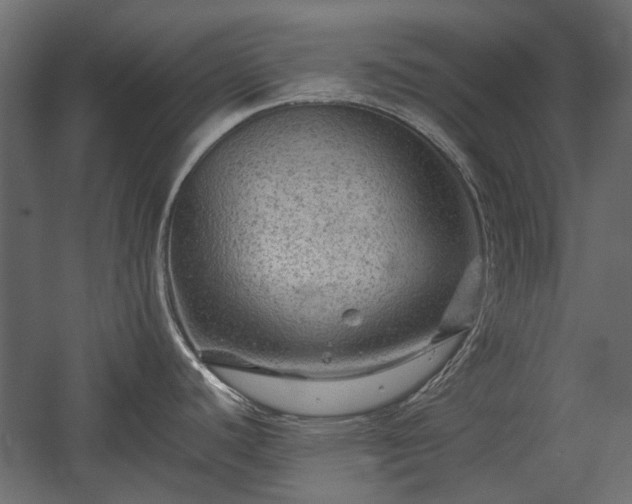 X0000058761440200510031007