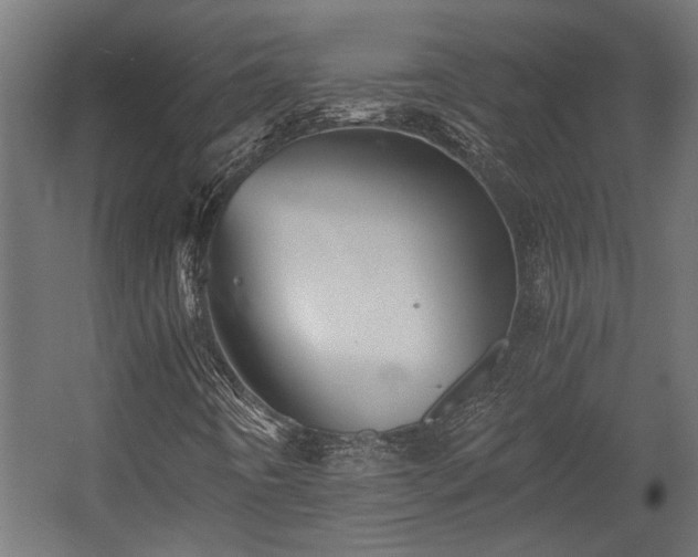 X0000058761442200510031006