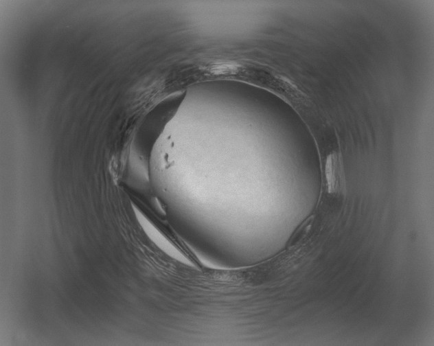 X0000058761443200510031006