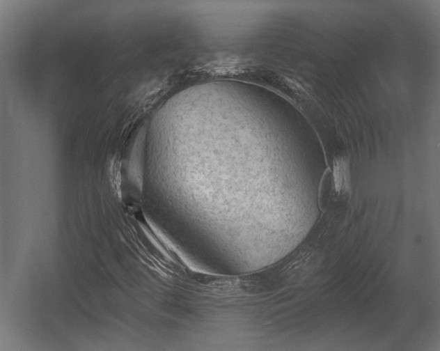 X0000058761444200510031006