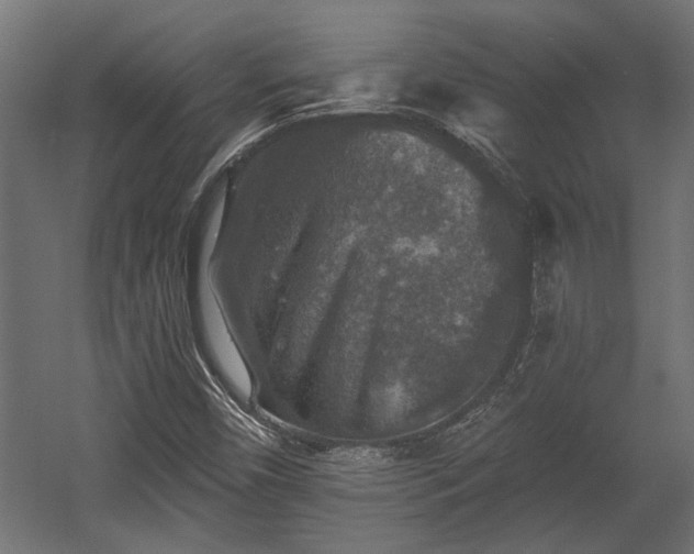 X0000058761450200510031006