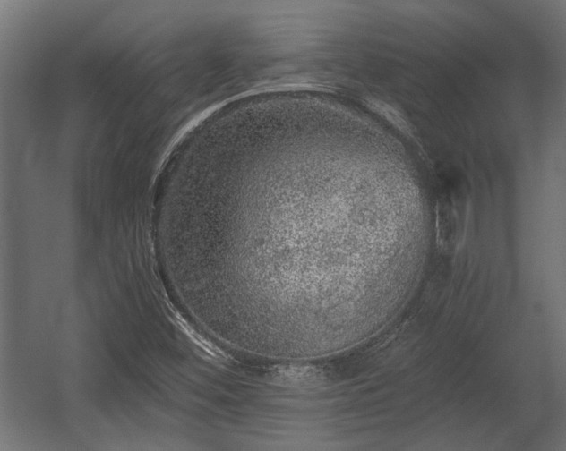 X0000058761452200510031006