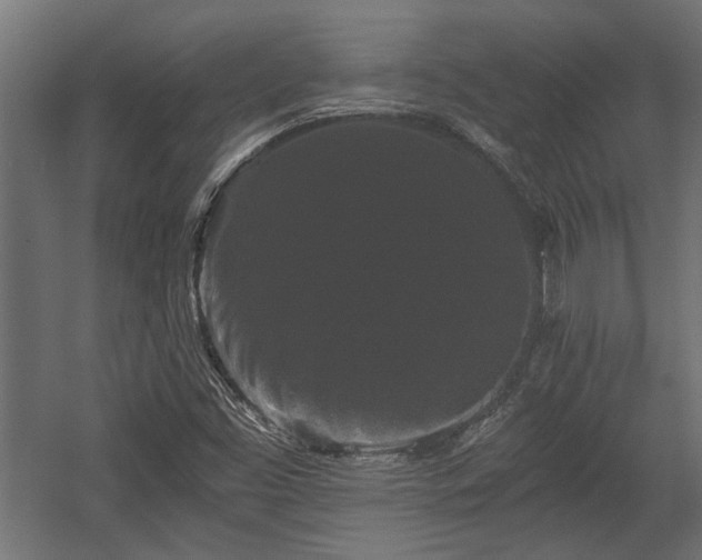 X0000058761453200510031006