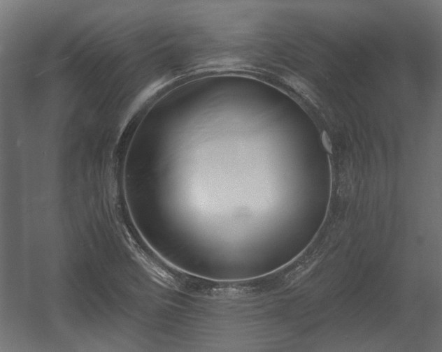 X0000058761458200510031006