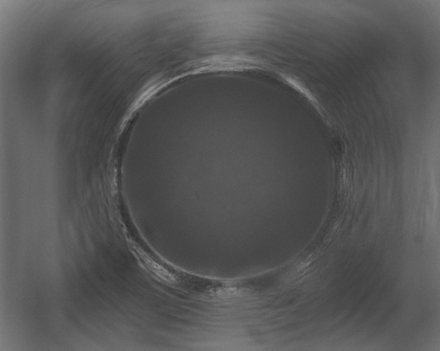 X0000058761459200510031006